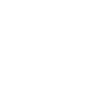 Maximum Security